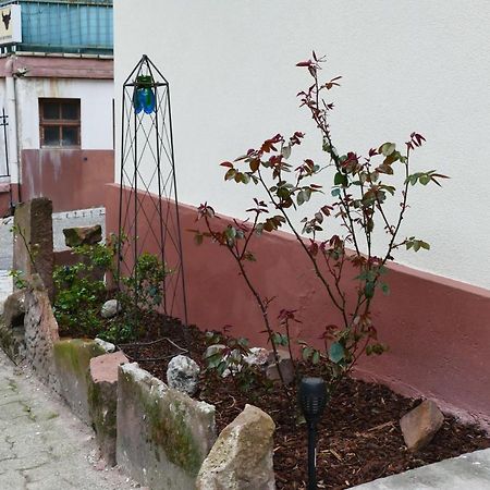 Le Gite Des Sources: Nature, Randonnees, Detente. Oberbronn Ngoại thất bức ảnh