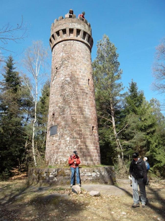 Le Gite Des Sources: Nature, Randonnees, Detente. Oberbronn Ngoại thất bức ảnh